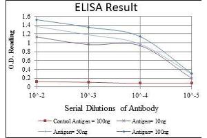 Red: Control Antigen (100 ng), Purple: Antigen (10 ng), Green: Antigen (50 ng), Blue: Antigen (100 ng),
