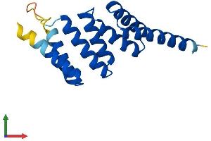 AlphaFold protein structure predicition of Human Recombinant TTC32 Protein, UniprotID Q5I0X7