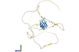 AlphaFold protein structure predicition of Human Recombinant RBMX Protein, UniprotID P38159