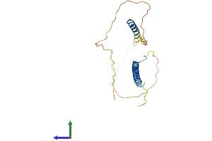 AlphaFold protein structure predicition of Human Recombinant AKIRIN2 Protein, UniprotID Q53H80