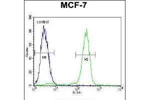 Flow cytometric analysis of MCF-7 cells (right histogram) compared to a negative control cell (left histogram). (OTOP3 anticorps  (C-Term))