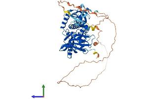 AlphaFold protein structure predicition of Mouse Recombinant Kat5 Protein, UniprotID Q8CHK4