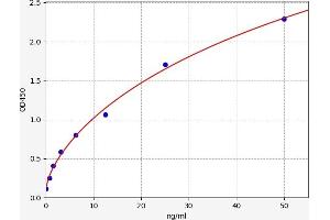 Renalase, FAD-Dependent Amine Oxidase (RNLS) ELISA Kit