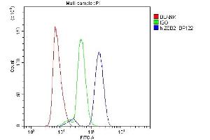 Flow Cytometry analysis of U937 cells using anti-ZEB2 antibody (ABIN3042325). (ZEB2 anticorps  (AA 1-200))