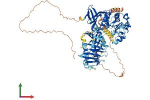 AlphaFold protein structure predicition of Human Recombinant PLK2 Protein, UniprotID Q9NYY3