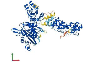AlphaFold protein structure predicition of Mouse Recombinant Aspg Protein, UniprotID A0JNU3