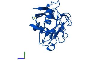 AlphaFold protein structure predicition of Human Recombinant PPIAL4D Protein, UniprotID F5H284