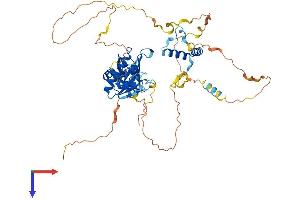 AlphaFold protein structure predicition of Human Recombinant RNPC3 Protein, UniprotID Q96LT9