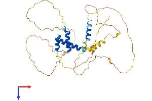 AlphaFold protein structure predicition of Human Recombinant ALX1 Protein, UniprotID Q15699