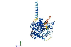 AlphaFold protein structure predicition of Human Recombinant CHST12 Protein, UniprotID Q9NRB3