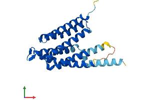 AlphaFold protein structure predicition of Mouse Recombinant Cdipt Protein, UniprotID Q8VDP6