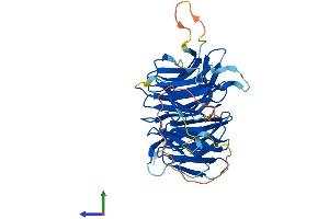 AlphaFold protein structure predicition of Human Recombinant NUP43 Protein, UniprotID Q8NFH3