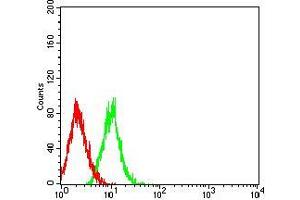 Flow cytometric analysis of HL-60 cells using TNFRSF11A mouse mAb (green) and negative control (red).