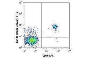 Flow Cytometry (FACS) image for anti-Chemokine (C-X-C Motif) Receptor 5 (CXCR5) antibody (FITC) (ABIN2661365)