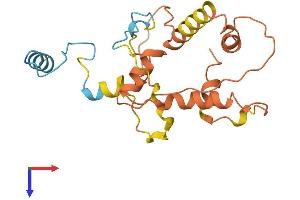 Cathepsin L Family Member 3, Pseudogene (CTSL3P) (AA 1-218) protein (His tag)