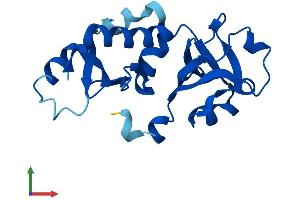 AlphaFold protein structure predicition of Human Recombinant NIP7 Protein, UniprotID Q9Y221