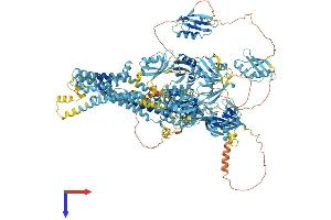 AlphaFold protein structure predicition of Human Recombinant ATP7A Protein, UniprotID Q04656