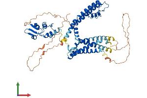 AlphaFold protein structure predicition of Mouse Recombinant Kcna6 Protein, UniprotID Q61923