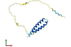 AlphaFold protein structure predicition of Human Recombinant CDK2AP2 Protein, UniprotID O75956