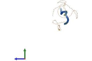 AlphaFold protein structure predicition of Mouse Recombinant Krt4 Protein, UniprotID P07744