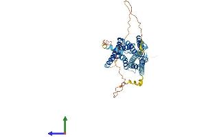 AlphaFold protein structure predicition of Human Recombinant HRH3 Protein, UniprotID Q9Y5N1