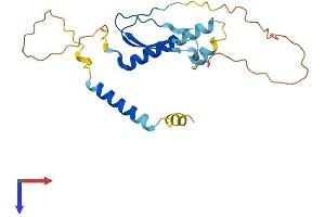 AlphaFold protein structure predicition of Human Recombinant AKIP1 Protein, UniprotID Q9NQ31