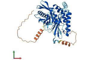 AlphaFold protein structure predicition of Mouse Recombinant Pip5kl1 Protein, UniprotID Q6U7H8