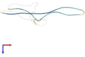 AlphaFold protein structure predicition of Human Recombinant SYCP1 Protein, UniprotID Q15431