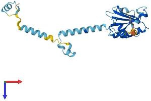 AlphaFold protein structure predicition of Mouse Recombinant Pdcl3 Protein, UniprotID Q8BVF2