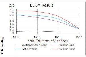 Black line: Control Antigen (100 ng), Purple line: Antigen(10 ng), Blue line: Antigen (50 ng), Red line: Antigen (100 ng),