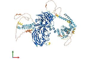AlphaFold protein structure predicition of Mouse Recombinant Gemin5 Protein, UniprotID Q8BX17