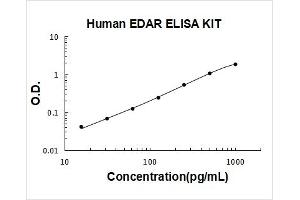 Typical Standard Curve