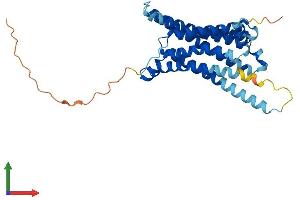 AlphaFold protein structure predicition of Mouse Recombinant Mc3r Protein, UniprotID P33033