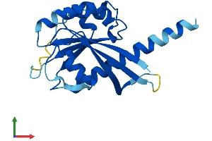 AlphaFold protein structure predicition of Human Recombinant IFT22 Protein, UniprotID Q9H7X7