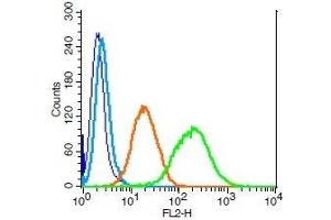 Human U937 cells probed with LIFR/CD118 Polyclonal Antibody, Unconjugated  (green) at 1:100 for 30 minutes followed by a PE conjugated secondary antibody compared to unstained cells (blue), secondary only (light blue), and isotype control (orange).
