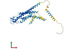 AlphaFold protein structure predicition of Mouse Recombinant Gjb1 Protein, UniprotID P28230