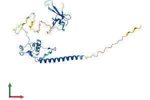 AlphaFold protein structure predicition of Mouse Recombinant Mbd3 Protein, UniprotID Q9Z2D8