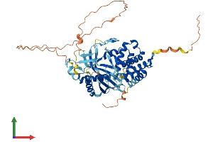 AlphaFold protein structure predicition of Human Recombinant TMEM102 Protein, UniprotID Q8N9M5