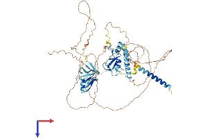 AlphaFold protein structure predicition of Human Recombinant RNF180 Protein, UniprotID Q86T96