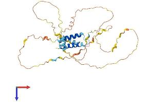 AlphaFold protein structure predicition of Human Recombinant IER5 Protein, UniprotID Q5VY09
