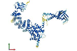 AlphaFold protein structure predicition of Human Recombinant ELMO1 Protein, UniprotID Q92556