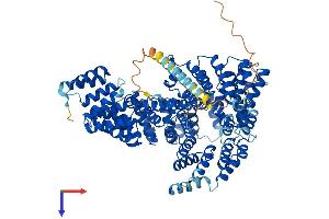 AlphaFold protein structure predicition of Human Recombinant NAA16 Protein, UniprotID Q6N069