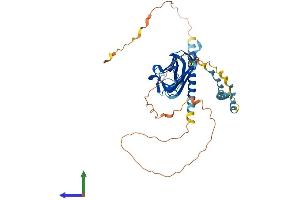 AlphaFold protein structure predicition of Human Recombinant EDA Protein, UniprotID Q92838