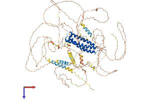 AlphaFold protein structure predicition of Human Recombinant DLGAP1 Protein, UniprotID O14490