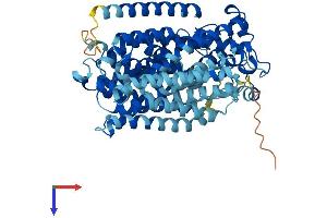 AlphaFold protein structure predicition of Human Recombinant SLC5A10 Protein, UniprotID A0PJK1