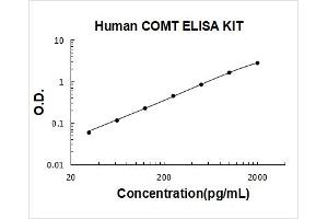 Catechol-O-Methyltransferase (COMT) ELISA Kit