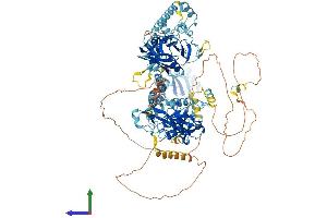 AlphaFold protein structure predicition of Human Recombinant NEMF Protein, UniprotID O60524