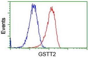 Flow cytometric Analysis of Hela cells, using anti-GSTT2 antibody (ABIN2453096), (Red), compared to a nonspecific negative control antibody (TA50011), (Blue). (GSTT2 anticorps)