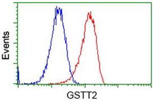 Flow cytometric Analysis of Hela cells, using anti-GSTT2 antibody (ABIN2453096), (Red), compared to a nonspecific negative control antibody (TA50011), (Blue). (GSTT2 anticorps)