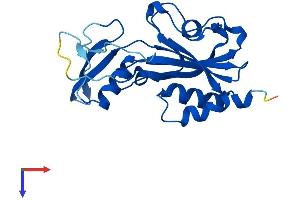 AlphaFold protein structure predicition of Mouse Recombinant Nudt14 Protein, UniprotID Q9D142